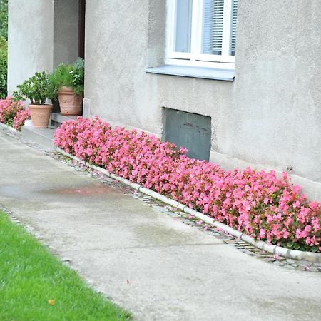 Studio Apartman D&D Varasd Kültér fotó